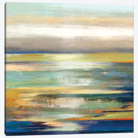 Evening Tide I Canvas Print #TOR45} by Tom Reeves Canvas Art