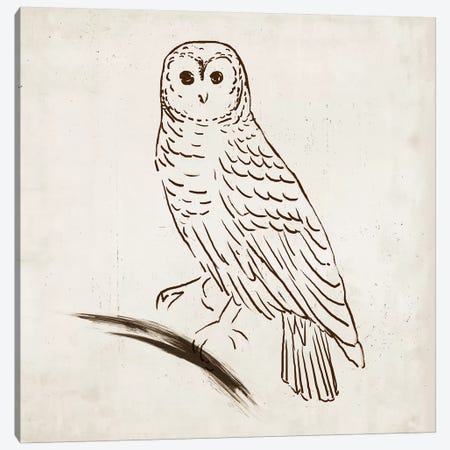 Owl I Canvas Print #TOR96} by Tom Reeves Canvas Print