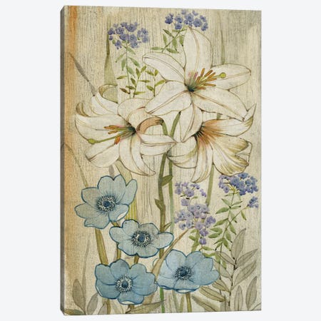 Lily Chinoiserie I Canvas Print #TOT106} by Tim OToole Canvas Print