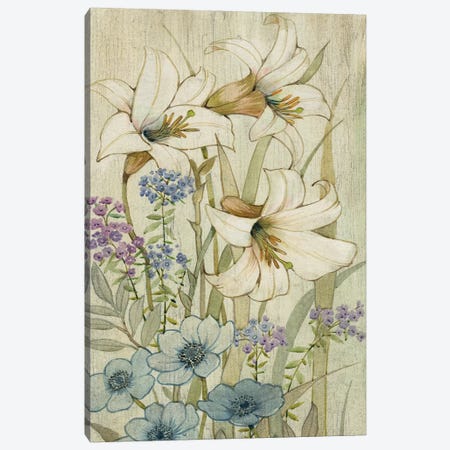 Lily Chinoiserie II Canvas Print #TOT107} by Tim OToole Canvas Art Print