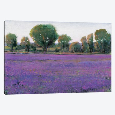 Lavender Field I Canvas Print #TOT10} by Tim OToole Canvas Wall Art