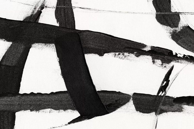 Obsidian Harmony II by Tim OToole canvas print