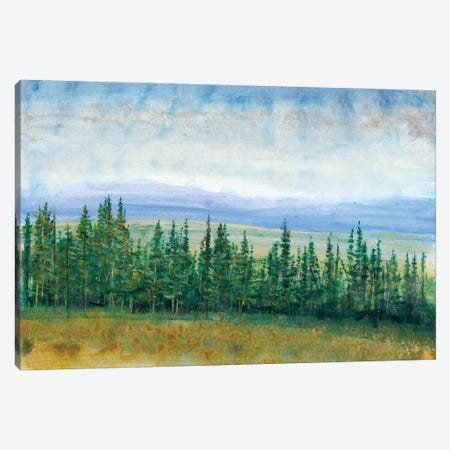 Pine Tops I Canvas Print #TOT115} by Tim OToole Canvas Artwork