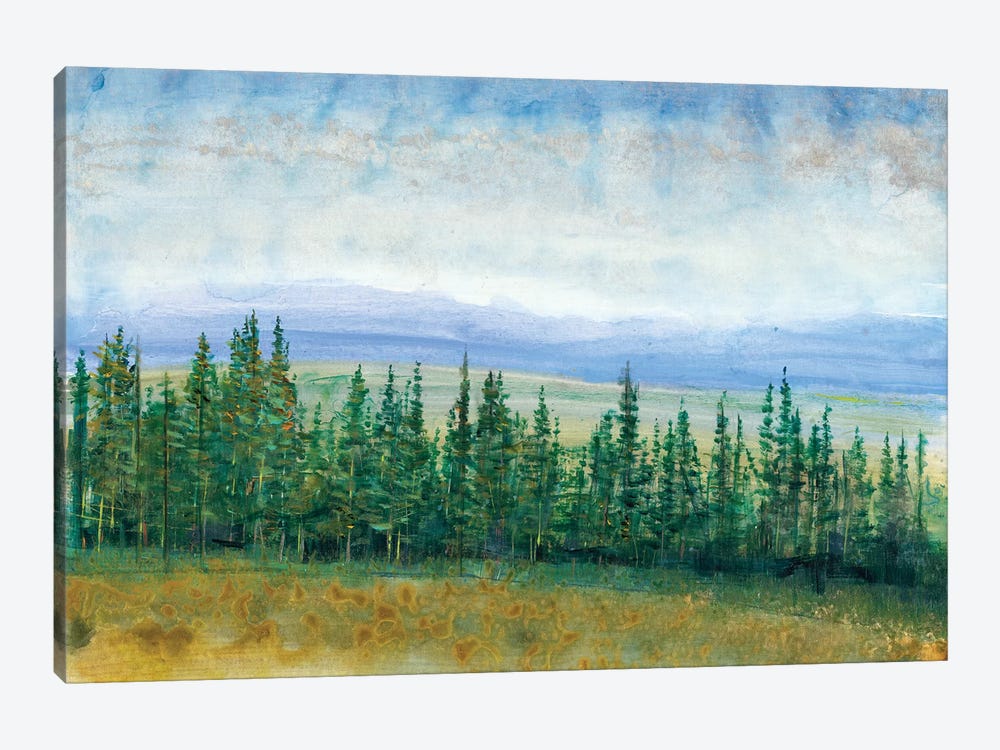 Pine Tops I by Tim OToole 1-piece Canvas Art
