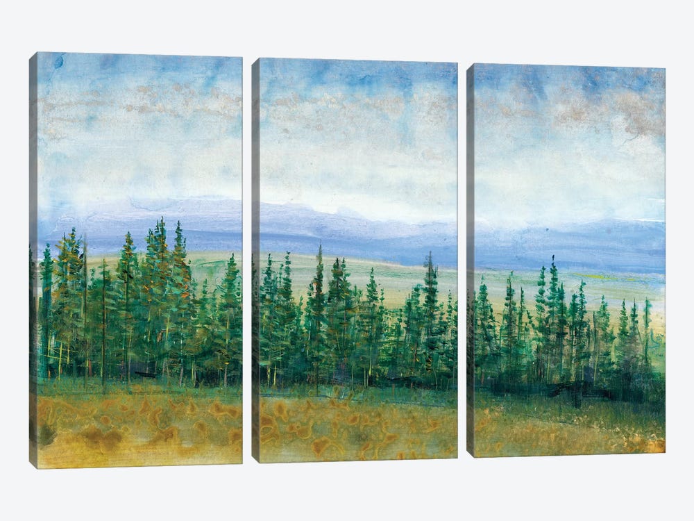 Pine Tops I by Tim OToole 3-piece Canvas Artwork