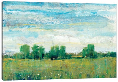 Splendor In Spring I Canvas Art Print - Tim O'Toole