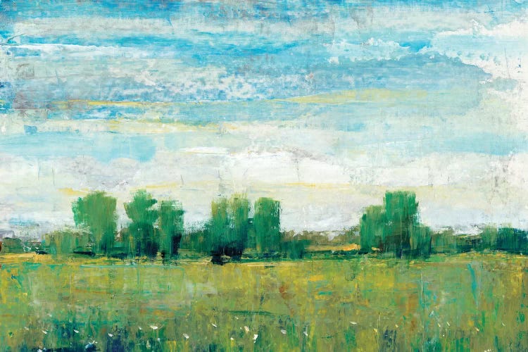 Splendor In Spring I by Tim OToole wall art