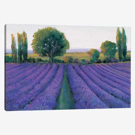 Lavender Field II Canvas Print #TOT11} by Tim OToole Canvas Artwork