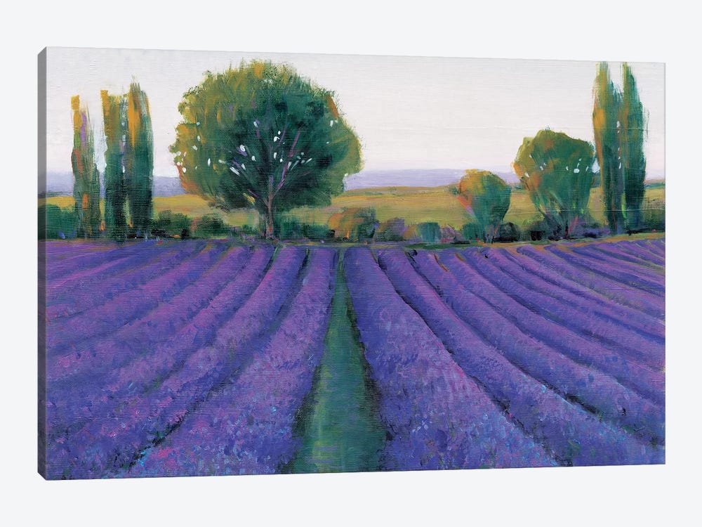 Lavender Field II by Tim OToole 1-piece Art Print