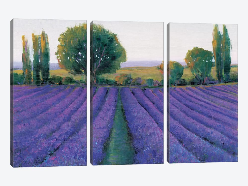 Lavender Field II by Tim OToole 3-piece Canvas Art Print