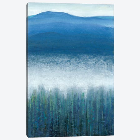 Valley Fog II Canvas Print #TOT124} by Tim OToole Canvas Art Print