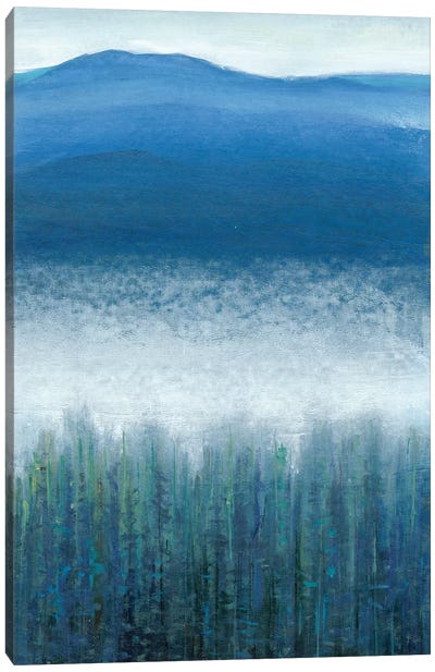 Valley Fog II Canvas Art Print - Tim O'Toole