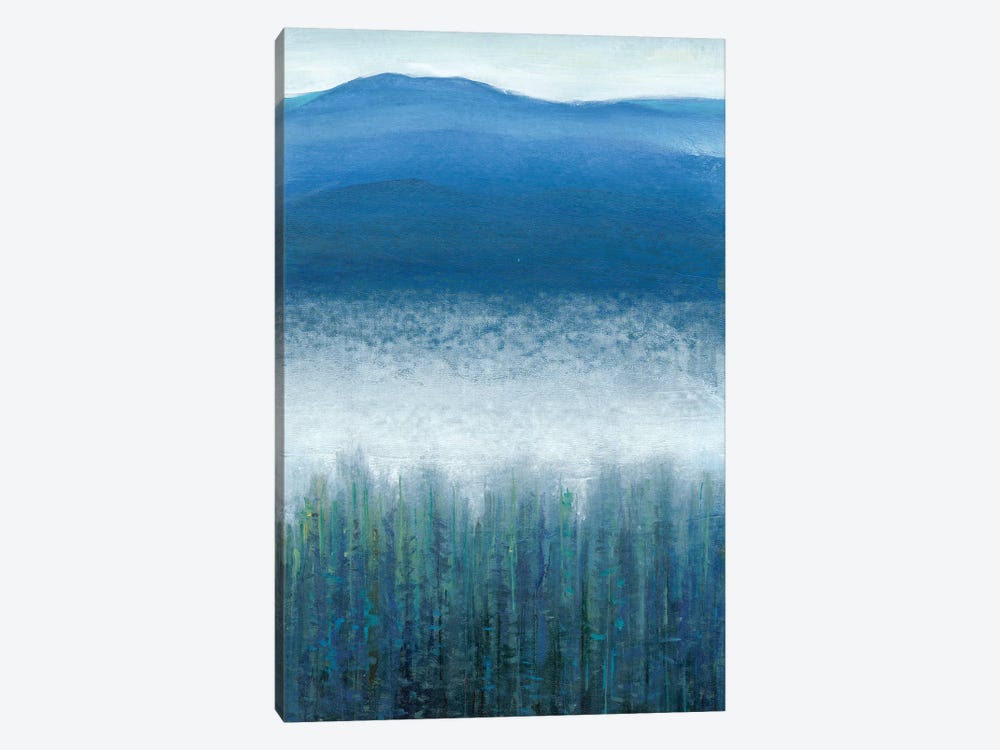 Valley Fog II by Tim OToole 1-piece Canvas Art