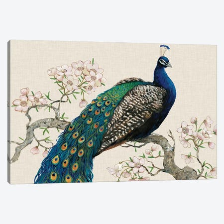 Peacock & Blossoms I Canvas Print #TOT12} by Tim OToole Canvas Artwork