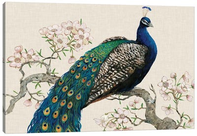 Peacock & Blossoms I Canvas Art Print