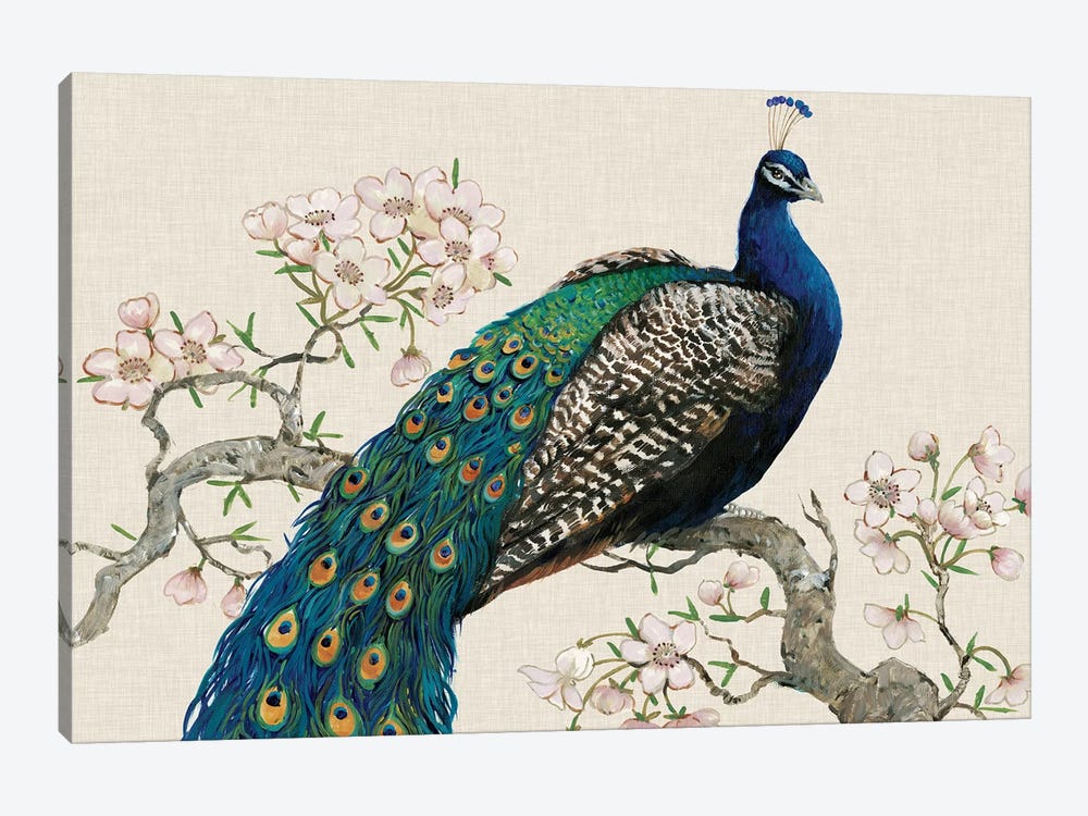 Peacock & Blossoms I by Tim OToole 1-piece Canvas Art