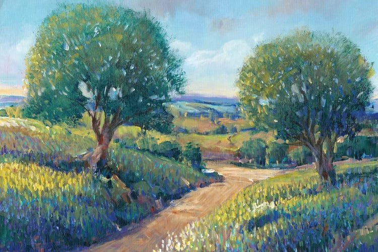 Country Sentrees I by Tim OToole wall art