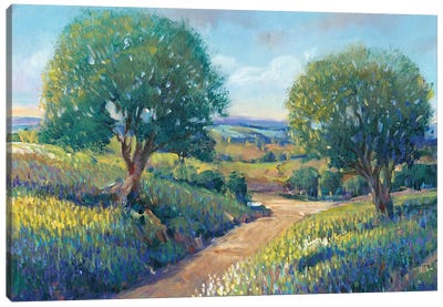 Country Sentrees I Canvas Art Print - Tim O'Toole