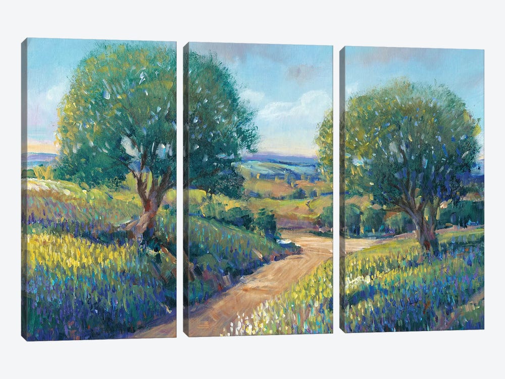 Country Sentrees I by Tim OToole 3-piece Canvas Wall Art