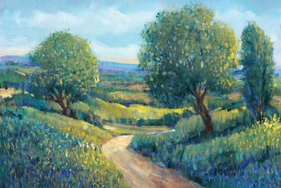 Country Sentrees II by Tim O'Toole multi panel art