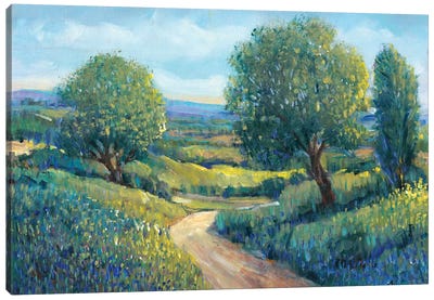Country Sentrees II Canvas Art Print - Trail, Path & Road Art