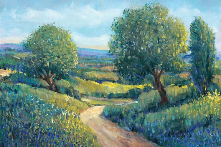 Country Sentrees II by Tim OToole wall art