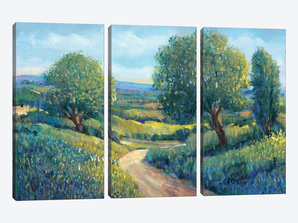 Country Sentrees II by Tim OToole 3-piece Canvas Print