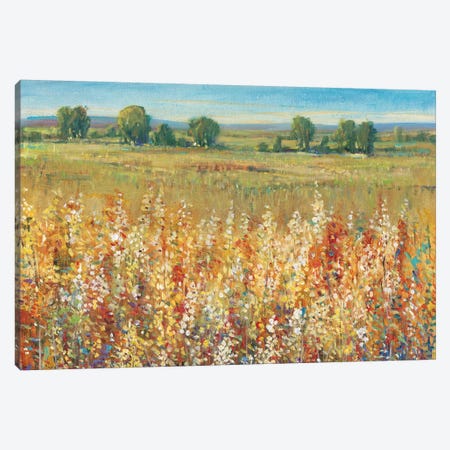 Gold and Red Field I Canvas Print #TOT135} by Tim OToole Canvas Artwork