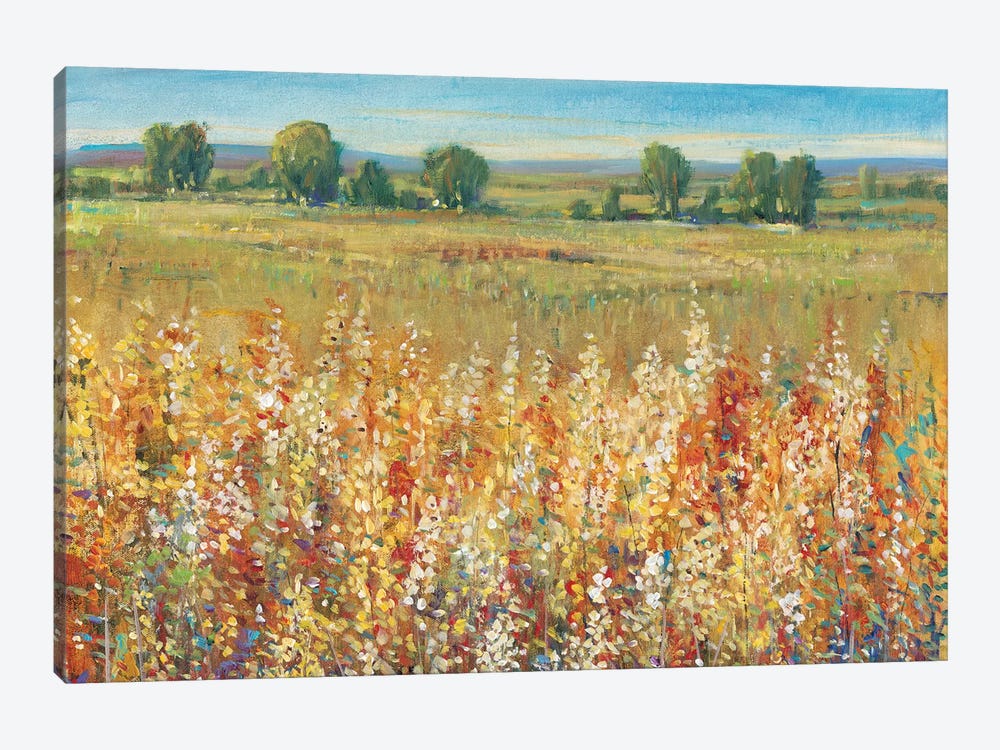 Gold and Red Field I by Tim OToole 1-piece Canvas Wall Art