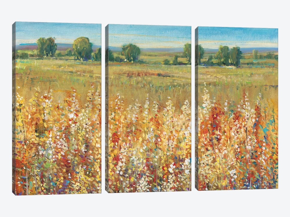 Gold and Red Field I by Tim OToole 3-piece Canvas Art