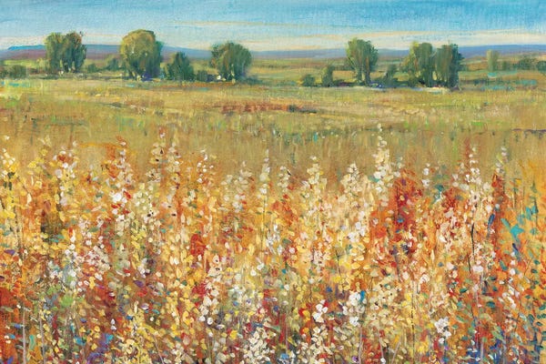 Gold and Red Field I