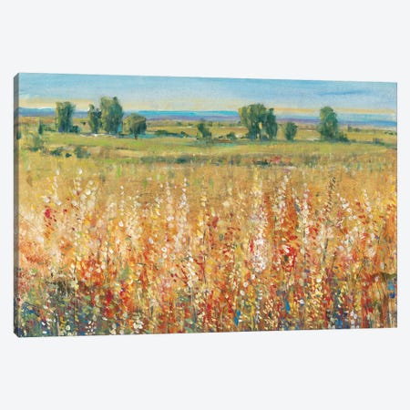 Gold and Red Field II Canvas Print #TOT136} by Tim OToole Canvas Artwork