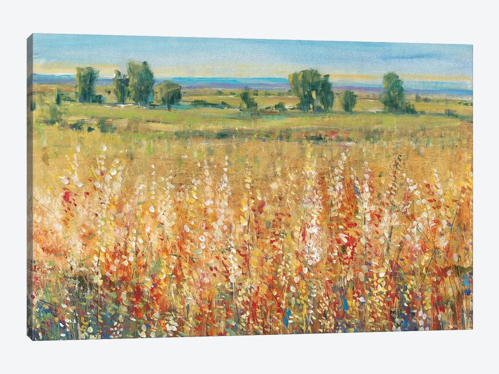 Gold and Red Field II by Tim OToole 1-piece Art Print