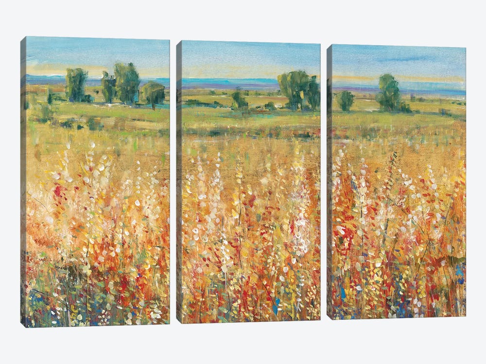 Gold and Red Field II by Tim OToole 3-piece Canvas Print