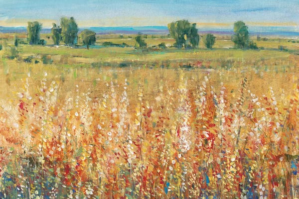 Fields, Grasslands & Meadows: Gold and Red Field II by Tim O'Toole