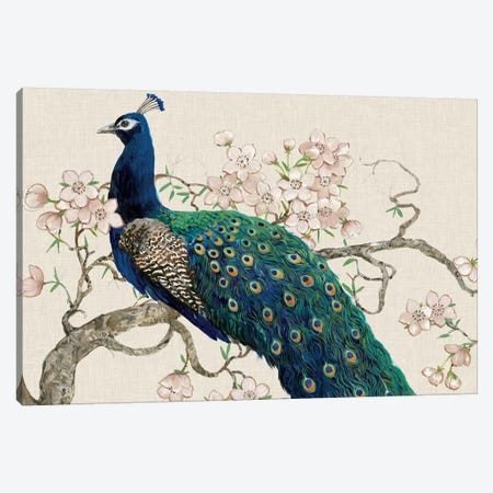 Peacock & Blossoms II Canvas Print #TOT13} by Tim OToole Canvas Art