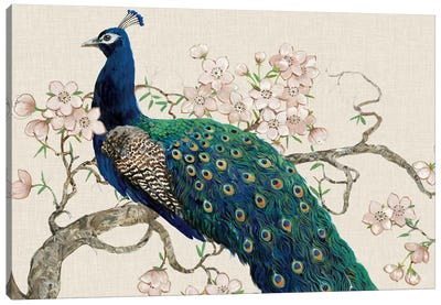 Peacock & Blossoms II Canvas Art Print - Peacock Art