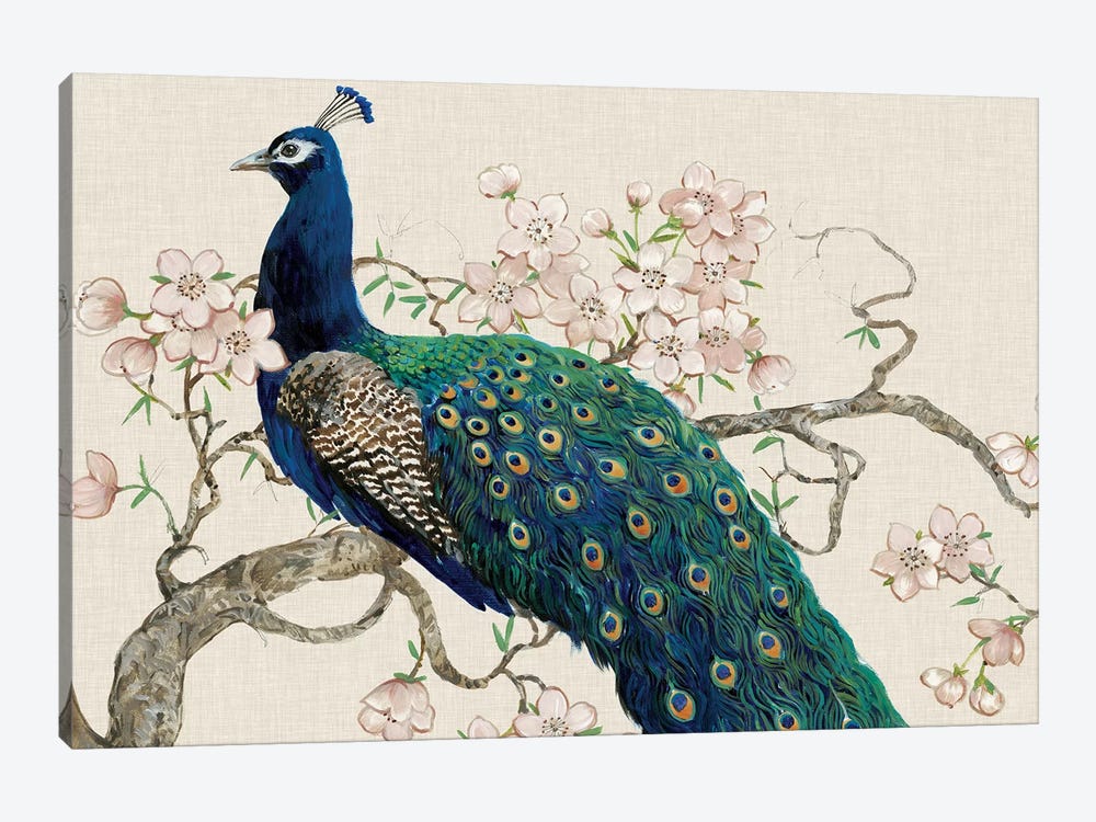 Peacock & Blossoms II by Tim OToole 1-piece Canvas Print