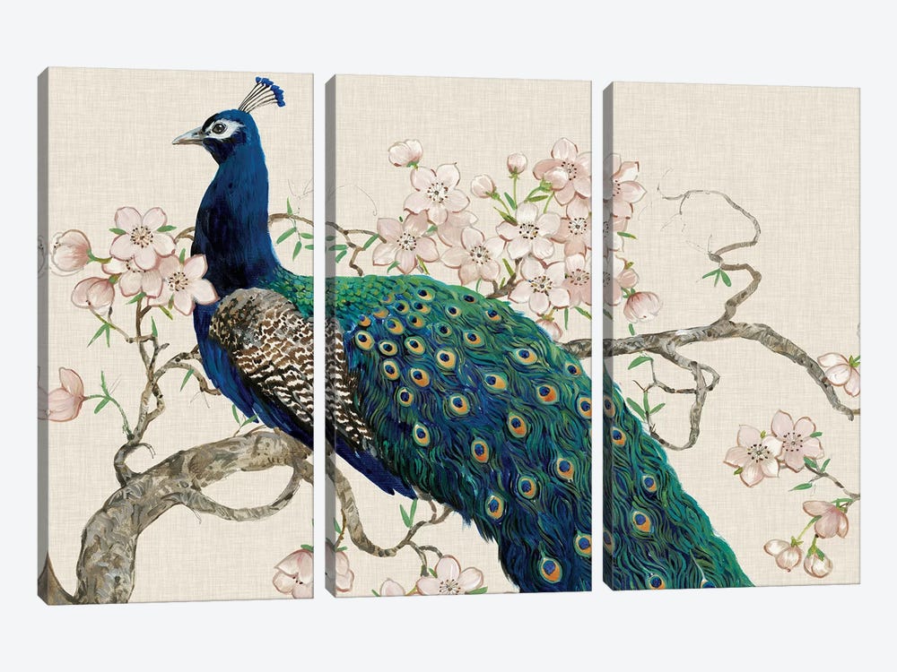 Peacock & Blossoms II by Tim OToole 3-piece Canvas Art Print