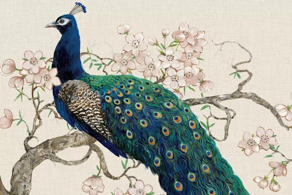 Peacocks: Peacock & Blossoms II by Tim O'Toole