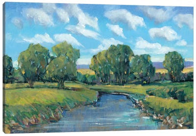 Lazy River Day II Canvas Art Print - Tim O'Toole