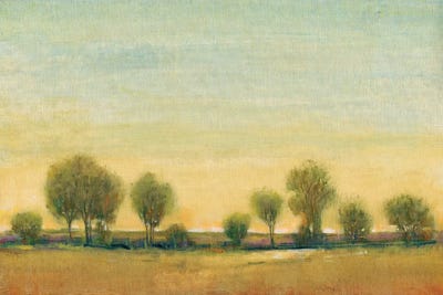 Morning Sun I by Tim O'Toole multi panel art