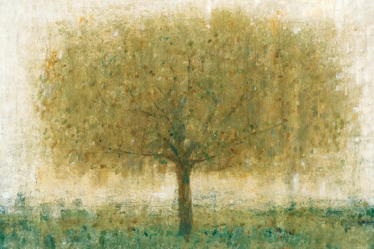 Summer Day Tree I by Tim OToole wall art