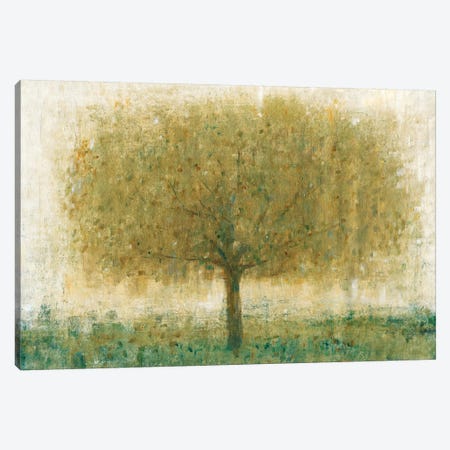 Summer Day Tree I Canvas Print #TOT158} by Tim OToole Canvas Art Print