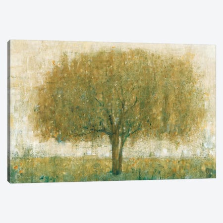 Summer Day Tree II Canvas Print #TOT159} by Tim OToole Canvas Print