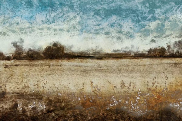 Countrysides: Infinite Pasture by Tim O'Toole