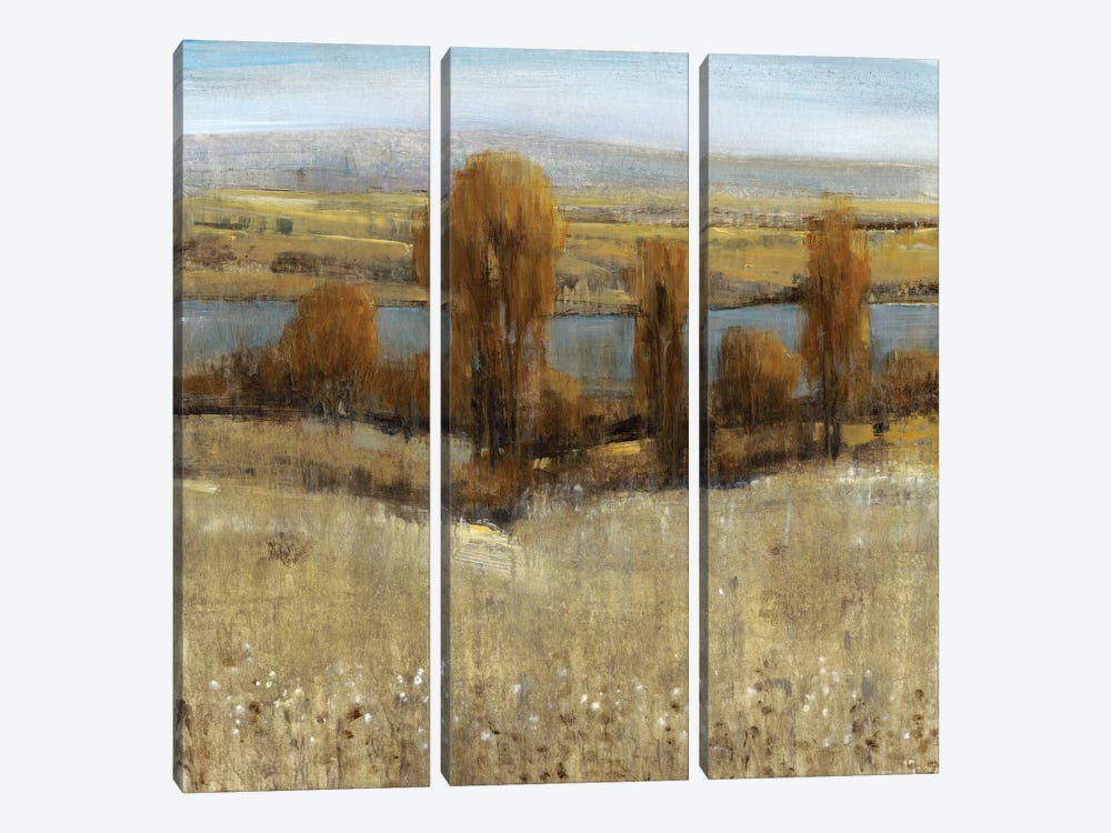 River Valley I by Tim OToole 3-piece Art Print