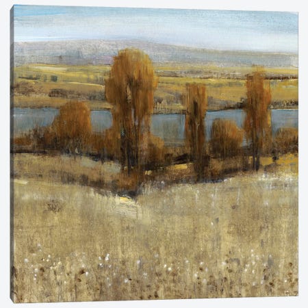 River Valley I Canvas Print #TOT169} by Tim OToole Canvas Artwork