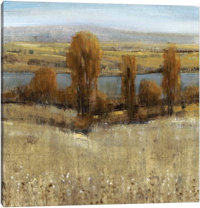 River Valley I Canvas Art Print - Tim O'Toole
