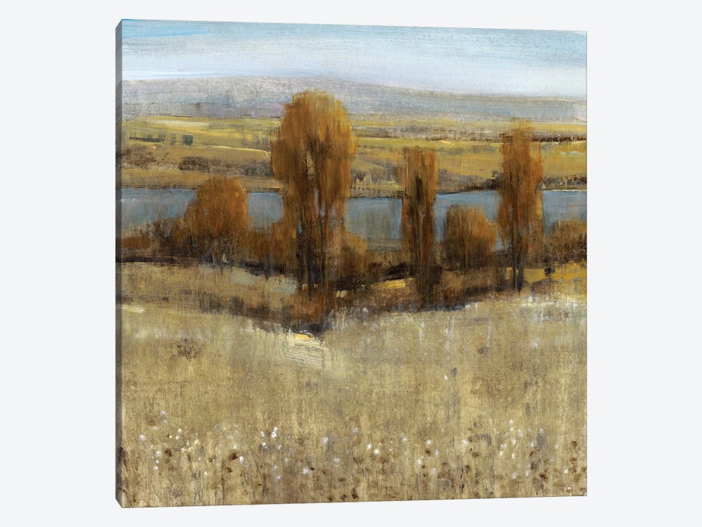 River Valley I by Tim OToole 1-piece Canvas Print